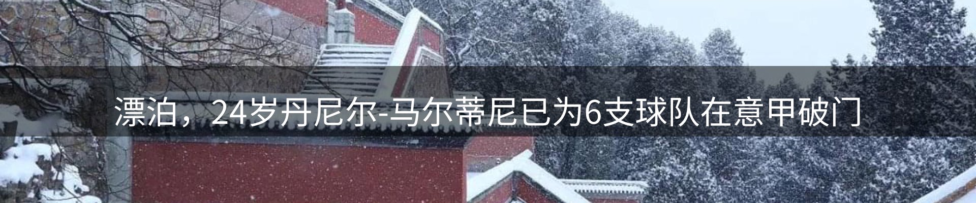 焦点动态