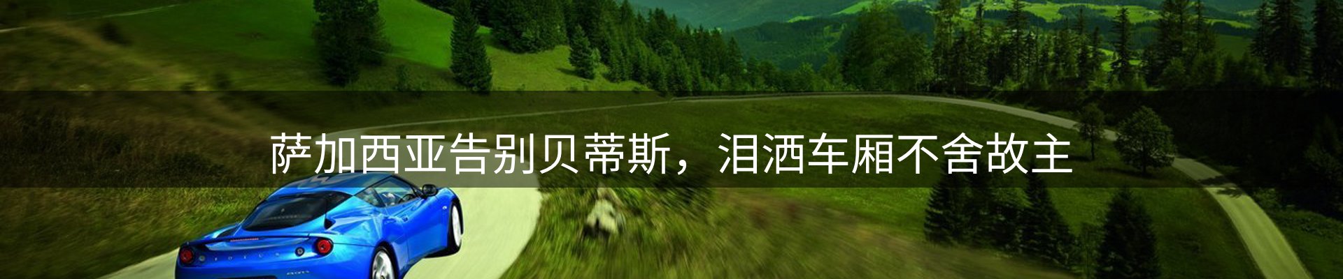 焦点动态